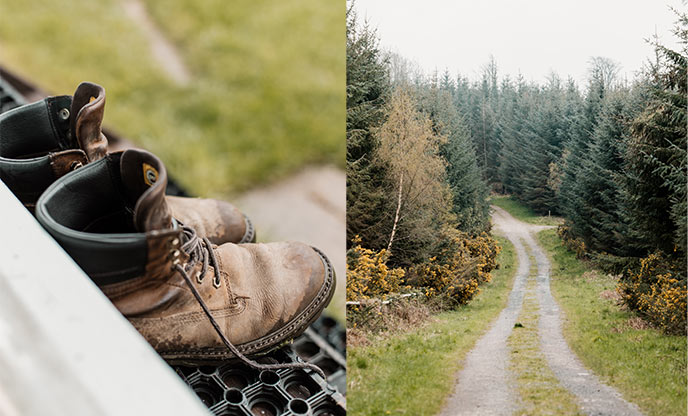 Walking boots (left) and pathway through the forest (right)