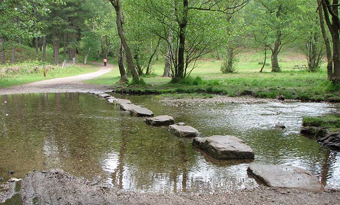 Stepping stones over river at Cannock Chase Forest
