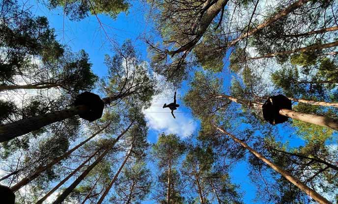 Sky walking forest activity ran by Go Ape. Image Credit Go Ape Facebook 