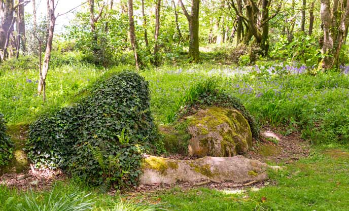 Gardens to visit in Cornwall 