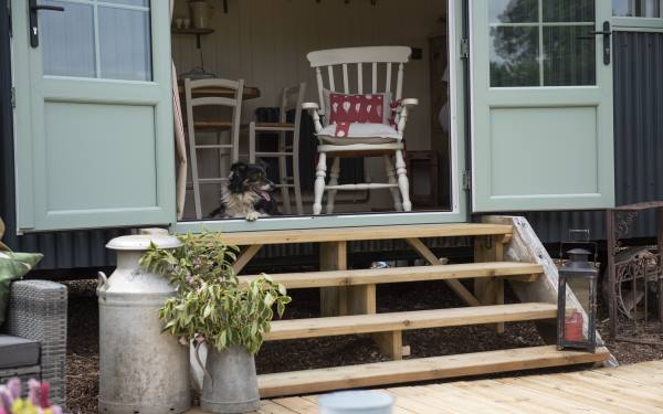 The best of dog-friendly glamping