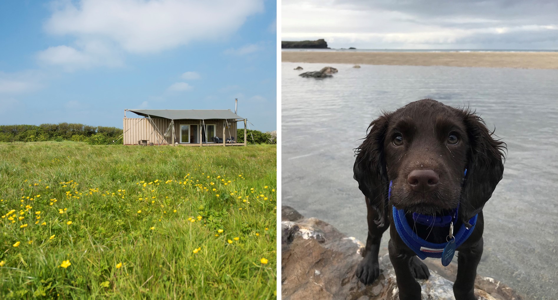 Rusty the Tin Tent - dog friendly glamping in Cornwall