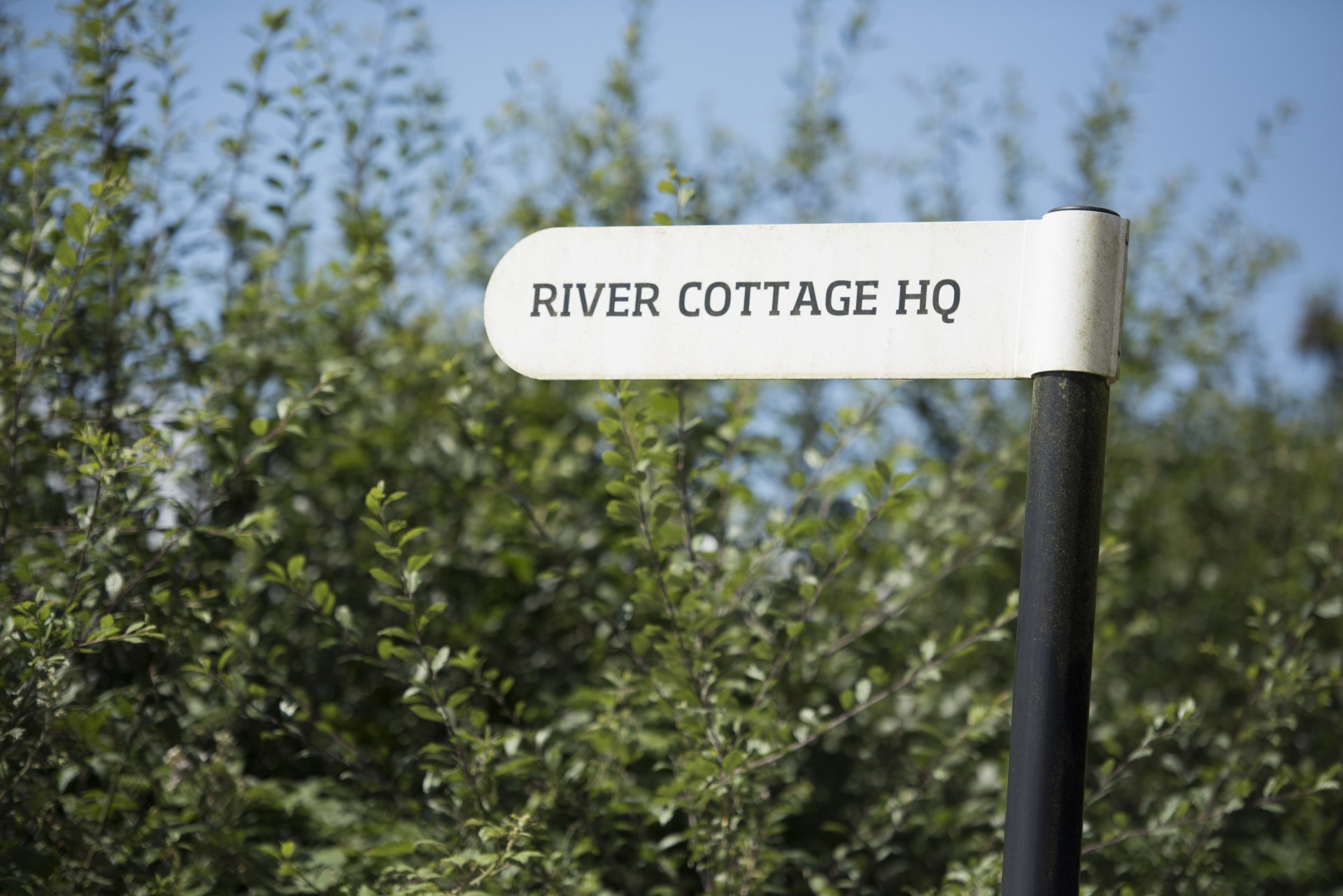 Stay near River Cottage HQ (within walking distance, in fact) and more!