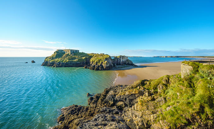 which beaches in pembrokeshire allow dogs