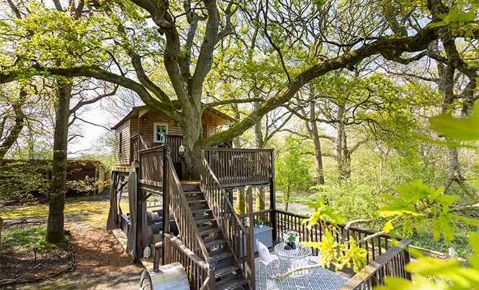 Unique treehouse in west Sussex 