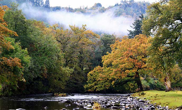 Autumn coloured trees encompass flowing stream through Betws-y-Coed