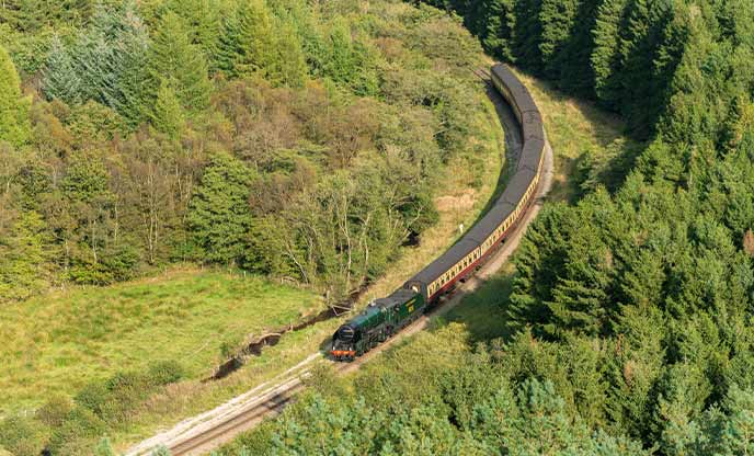 A historic train passing through a woodland in Levisham along the North Yorkshire Moors Railway