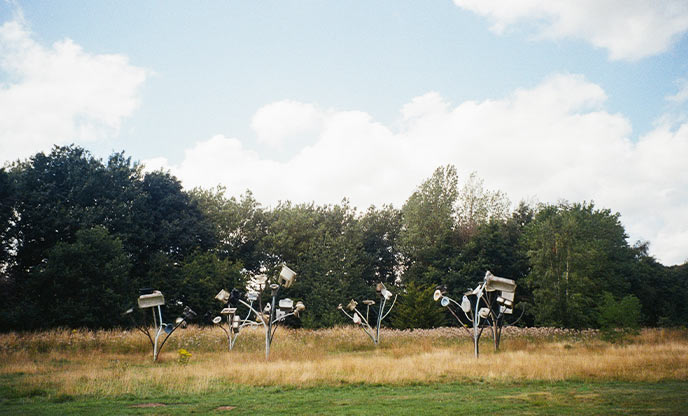 A series of metal sculptures in a field at the Yorkshire Sculpture Park in Yorkshire