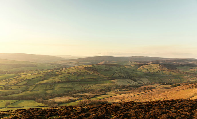 A view over the rolling hills of the Yorkshire Dales at golden hour